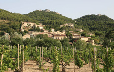 France-Provence-Côtes du Rhône Hiking Week